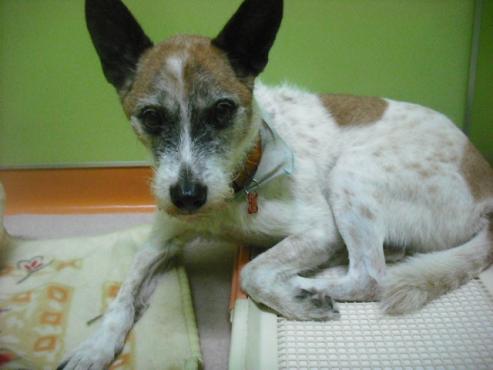 ファイル 1759-2.jpg