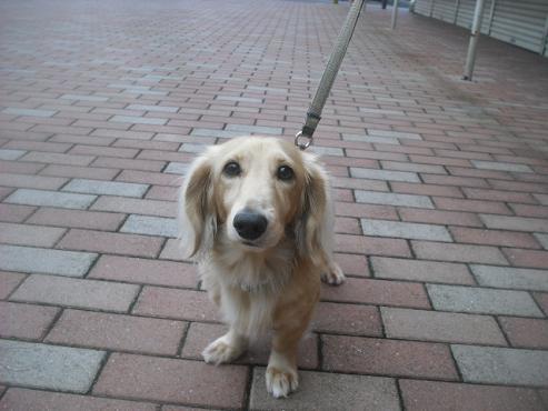 ファイル 1760-2.jpg