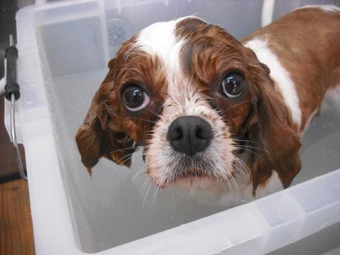 ファイル 1766-2.jpg