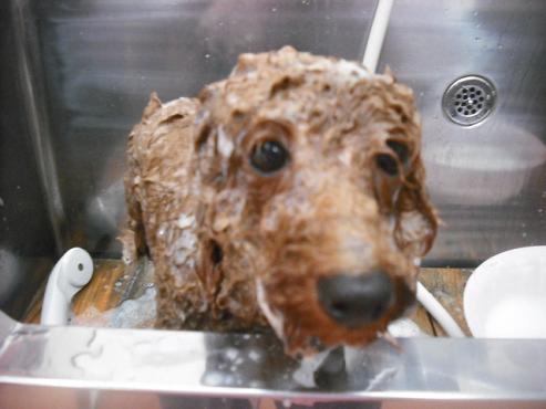 ファイル 1767-2.jpg