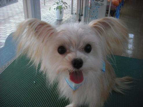 ファイル 1768-1.jpg