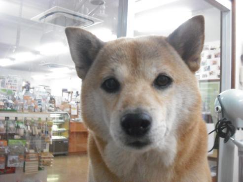 ファイル 1769-1.jpg