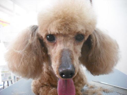 ファイル 177-1.jpg