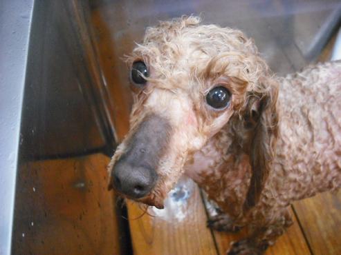 ファイル 177-2.jpg