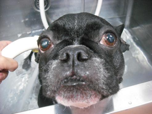 ファイル 1770-2.jpg