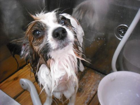 ファイル 1773-2.jpg