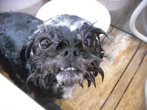 ファイル 1774-2.jpg