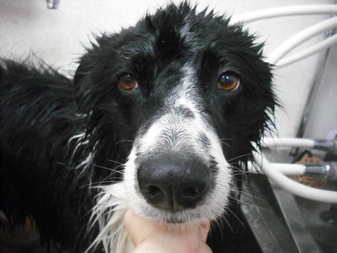 ファイル 1775-2.jpg