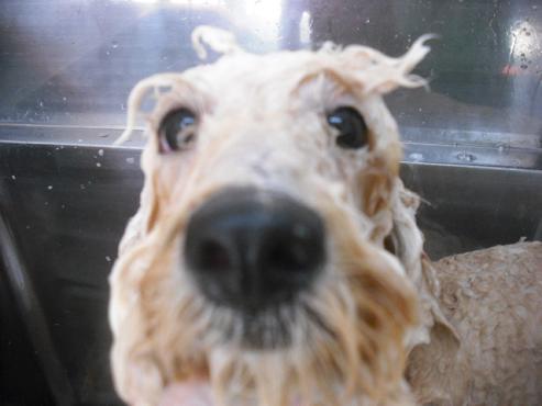 ファイル 1776-2.jpg