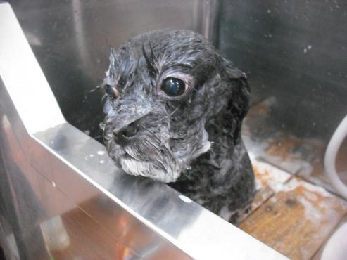 ファイル 1777-3.jpg