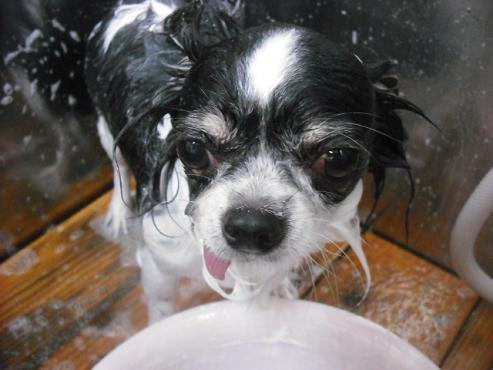 ファイル 1778-2.jpg