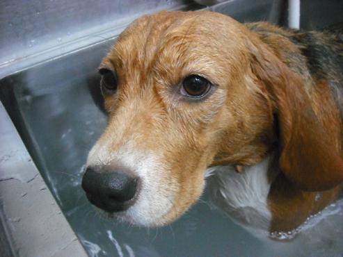 ファイル 1779-3.jpg