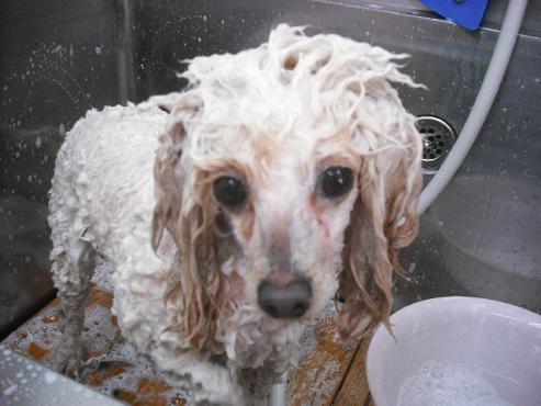 ファイル 178-2.jpg