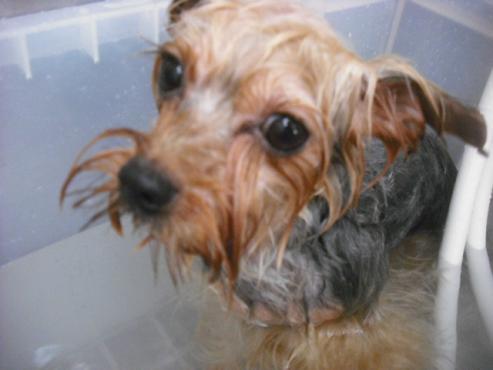 ファイル 1780-3.jpg