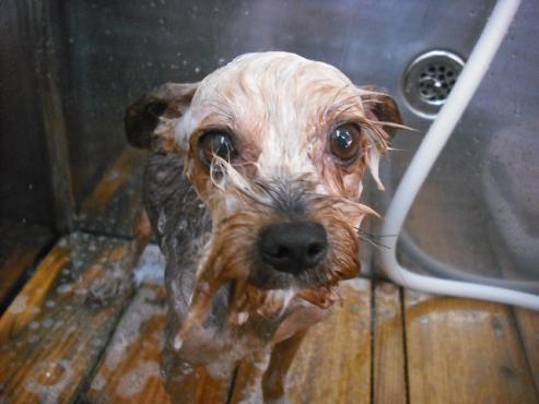 ファイル 1784-3.jpg