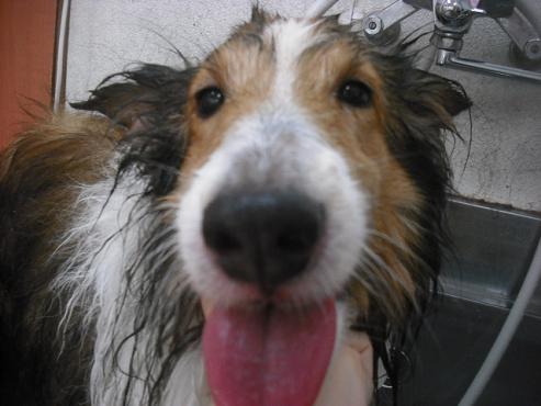 ファイル 1787-3.jpg