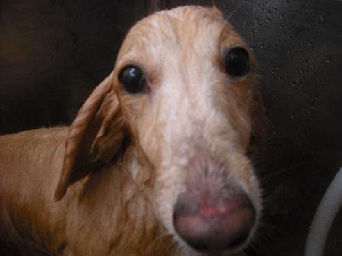 ファイル 1789-2.jpg