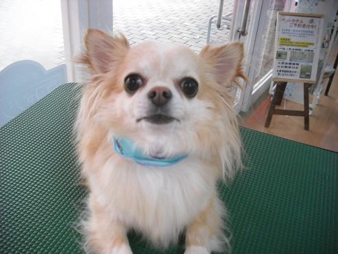 ファイル 179-1.jpg