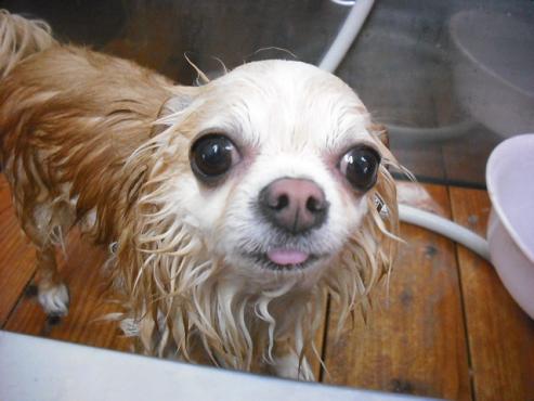 ファイル 179-2.jpg