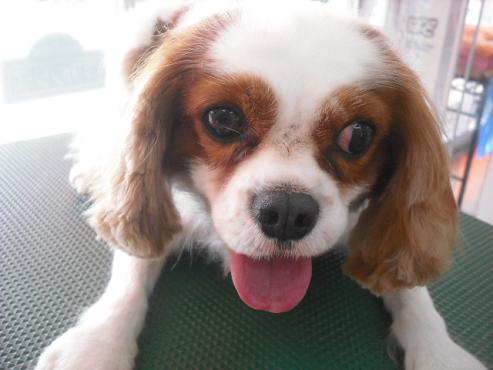 ファイル 1791-1.jpg