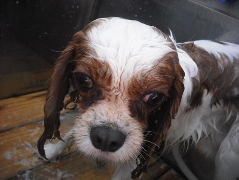 ファイル 1791-3.jpg