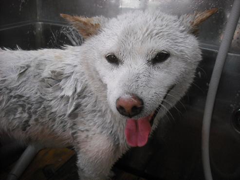 ファイル 1792-3.jpg