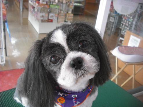 ファイル 1793-1.jpg