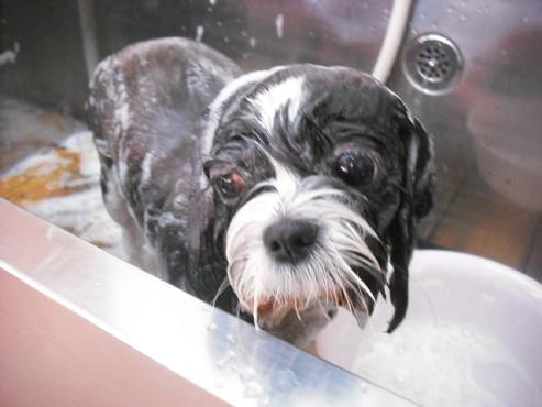 ファイル 1793-3.jpg