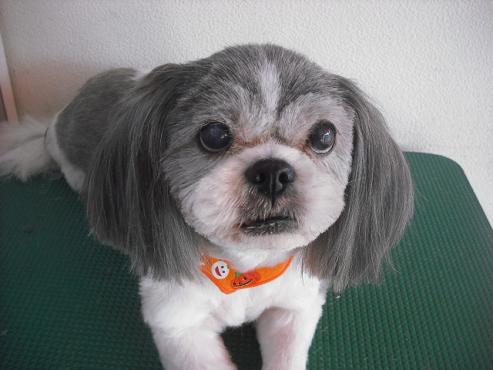 ファイル 1794-1.jpg