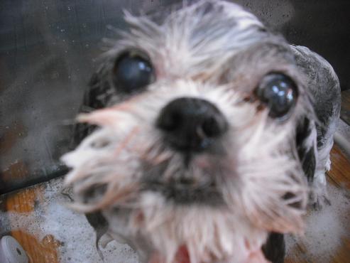 ファイル 1794-2.jpg