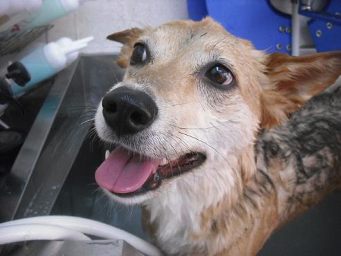 ファイル 1795-3.jpg