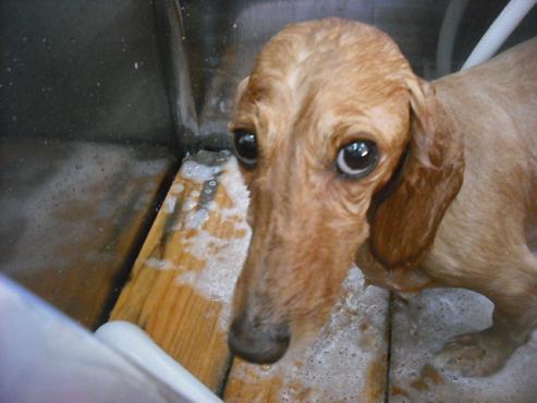 ファイル 1797-2.jpg