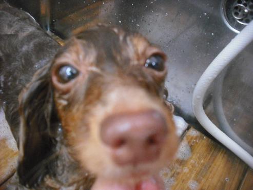 ファイル 1798-3.jpg