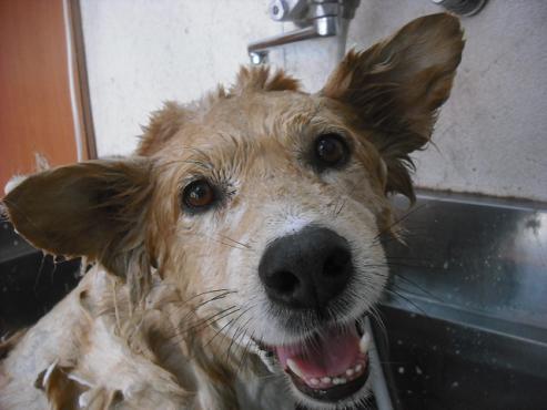 ファイル 1799-2.jpg