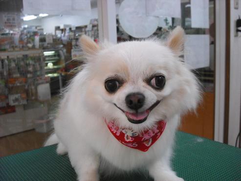 ファイル 18-1.jpg