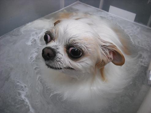 ファイル 18-2.jpg