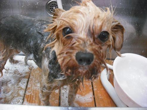 ファイル 180-2.jpg