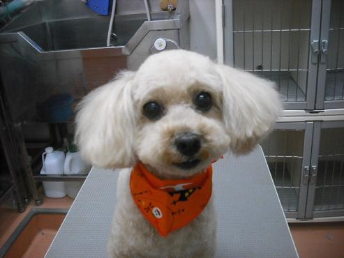 ファイル 1800-1.jpg