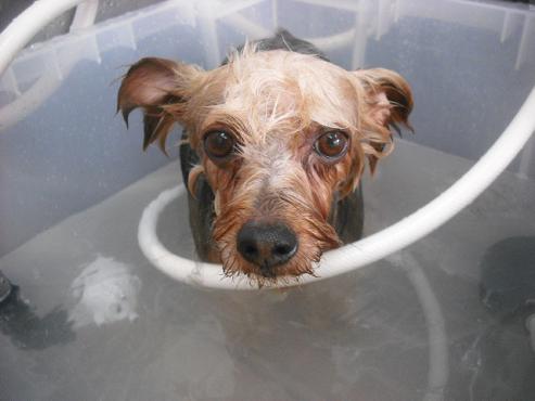 ファイル 1801-2.jpg