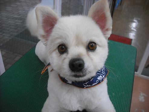 ファイル 1803-1.jpg