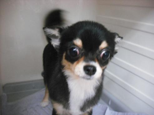 ファイル 1804-2.jpg