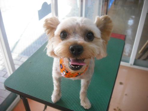 ファイル 1806-2.jpg