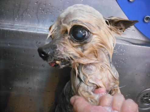 ファイル 1809-2.jpg