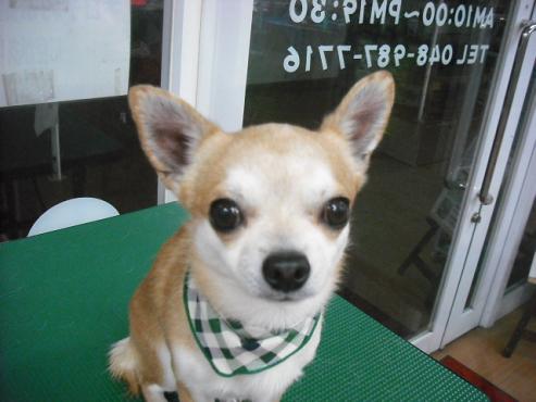 ファイル 181-1.jpg