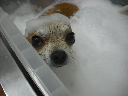 ファイル 181-2.jpg