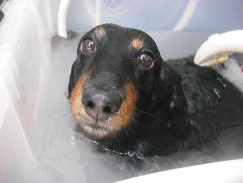 ファイル 1813-2.jpg