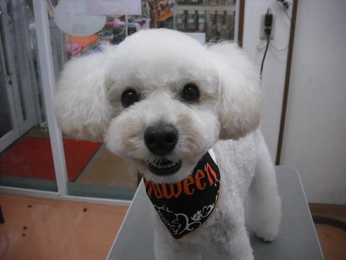 ファイル 1814-1.jpg