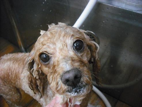 ファイル 1815-2.jpg