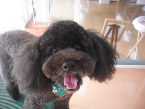 ファイル 1817-1.jpg