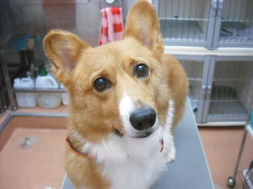 ファイル 1818-1.jpg